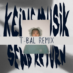 Keinemusik , RY X - Feeling ( T-BAL REMIX )