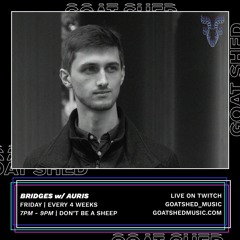 Bridges w/ Auris 04.02.22