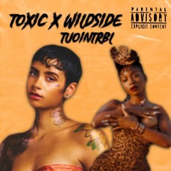 TOXIC KEHLANI X WILD SIDE NORMANI MASH UP BY TUO