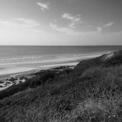 PIZ 43 Coast  Walk  Improvisations