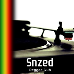 Reggae dub