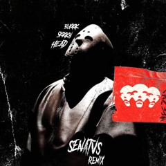 Kanye West - BLKKK SKKKN HEAD (SENATVS Remix)