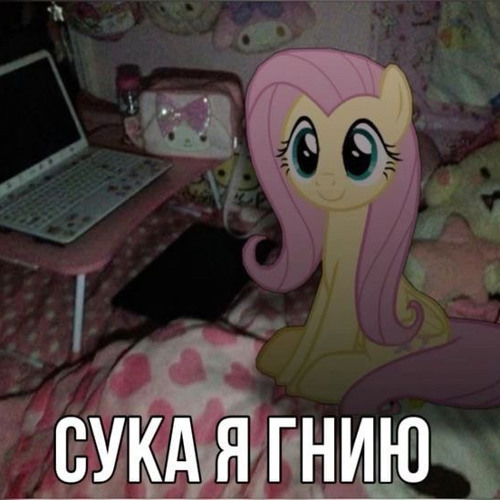 плалест на 0missov