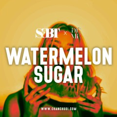 Watermelon Sugar - Playlist 26 | ĐêMê by SEBT