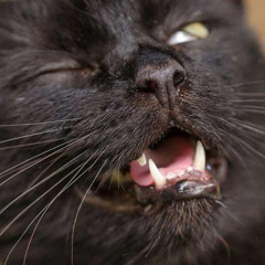 01 Nasty Daddy Fall Minimix