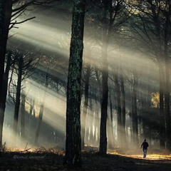 Deep Woods #49 Progressive, Organic House (Yotto, Marsh, GMJ, Maze 28, Matter, Proff, Julian Nates)