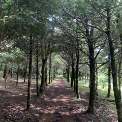 인간혐오쏭(가제) Fxxk You Human Beings