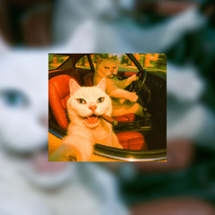 Brazslap - INFECTION