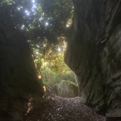 REFINEMNT- LEAN - N (CLIP)