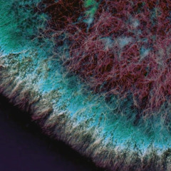 beyond physical #017