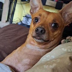 Mistake (super slowed)