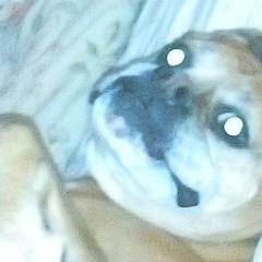 WIREDBUTtIRED