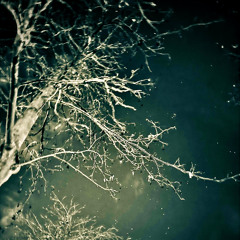 Last call