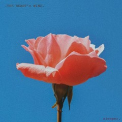 🌷The Heart's Wind