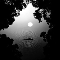 Essence
