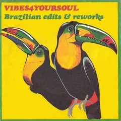 Vibes4YourSoul x Brazil
