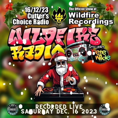 Wildfire Radio #22 w/ Host Pete Wilde