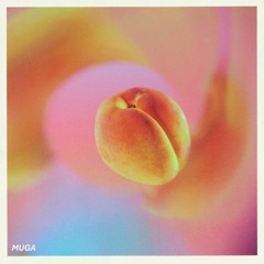 Kytes - Apricosa