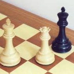 CheckMate - KingWize