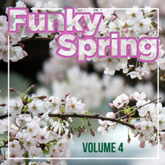 Funky spring 4