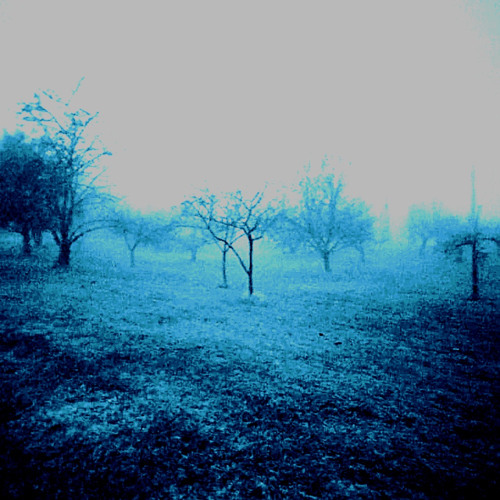 Interference