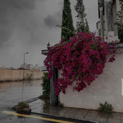 الشيخ سعد أوزيت - سورة الفتح كاملة - ارح قلبك بتلاوة عطره ☁️