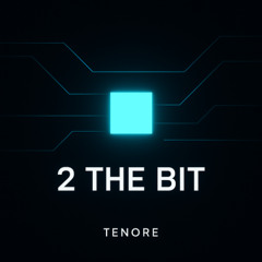 2 THE BIT