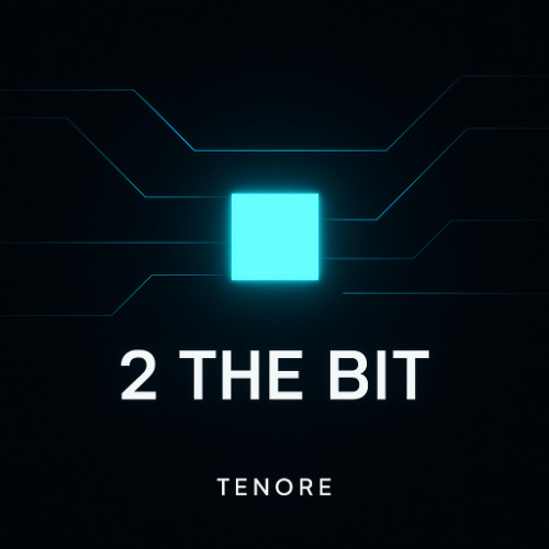 2 THE BIT