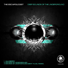 HD135 - The Escapologist - Sounds of the Underground Mert Yucel remix clip