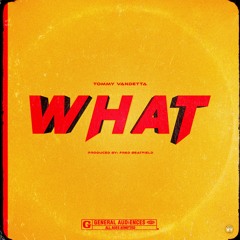 WHAT (Produced By. Fred BeatField)