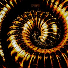 Nine Inch Nails - Closer (Reaps Remix)