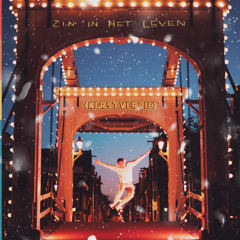 Zin In Het Leven (Kerstversie)