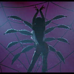 The World is Doomed let's Dance