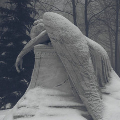 What did you see? Cemeteries (slowed,intro looped)