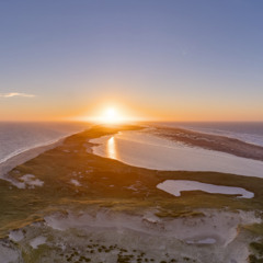 Songbirds Soundscape -- Point Pelee National Park, Ontario, Canada
