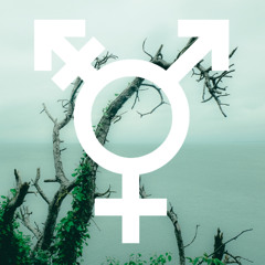 real+woman+music