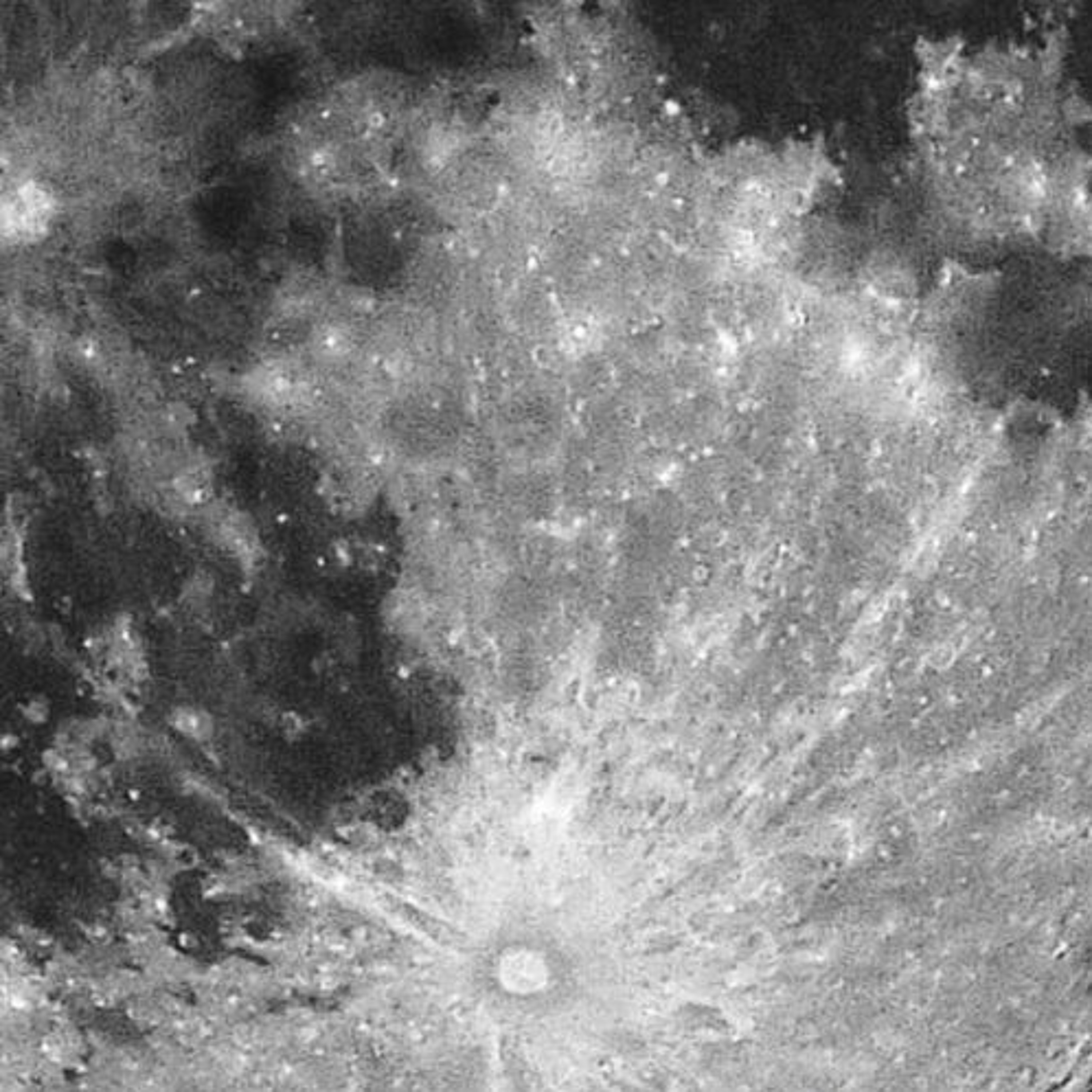 Orbite - La Permissive orale de Lila Lakehal