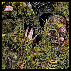 ▓▓▓▓▓▓▓▓▓▓▓▓