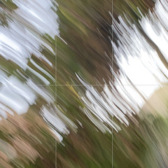 rotten power 343  (prod. toidzee)