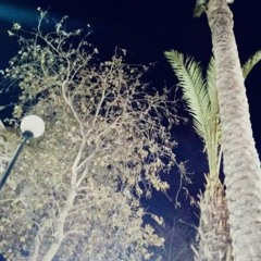 | تامر عاشور - احنا الدنيا