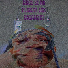 CHCE SE MI PLAKAT JAK CIGANOVI (May.1.24)