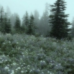 𝙒𝙖𝙮𝙑 - 𝘽𝙖𝙙 𝘼𝙡𝙞𝙫𝙚 𝙨𝙡𝙤𝙬𝙚𝙙  𝙣 𝙧𝙚𝙫𝙚𝙧𝙗 (𝙀𝙣𝙜𝙡𝙞𝙨𝙝 𝙑𝙚𝙧𝙨𝙞𝙤𝙣)