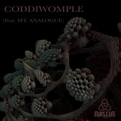 DRU1D - Coddiwomple (Feat. Mt. Analogue)