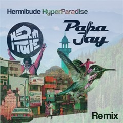 Hermitude - HyperParadise ( PAPAJAY Re - Colour ) [Remix]