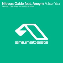 Nitrous Oxide Feat. Aneym - Follow You (Lucas Deyong Rework) [PREVIEW]