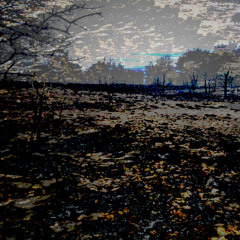 Scorched Fields (naviarhaiku582)