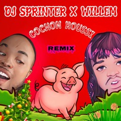 DJ SprinTer X WilleM - Cochon Roussi Remix