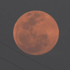 blood moon 2 (the mateo)