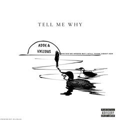 Tell Me Why (feat. Valious)