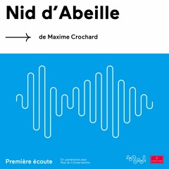 Lecture - « Nid d'Abeille » de Maxime Crochard